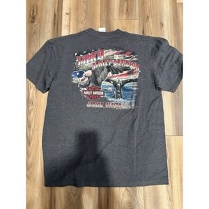 🔥Harley-Davidson Taku Juneau Alaska Graphic Gray T-Shirt, Large